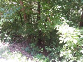 Lot 126 Lake View Dr.