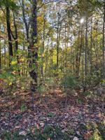 Lot 114 Rindler Ridge