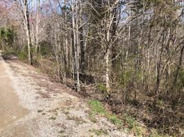 Lot 10 Livingston Hwy