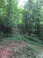 .56 acre Cherry Hill