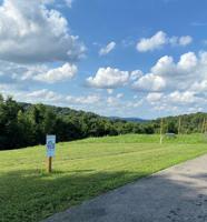 Lot 41B Bald Eagle Lane