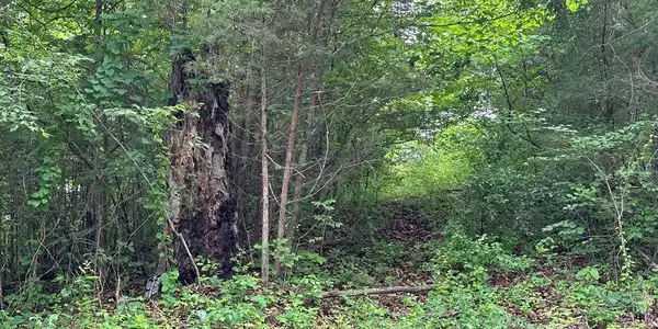 00 Sulphur Creek Road