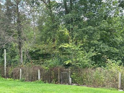 Lot 14 Twin Peaks Ln