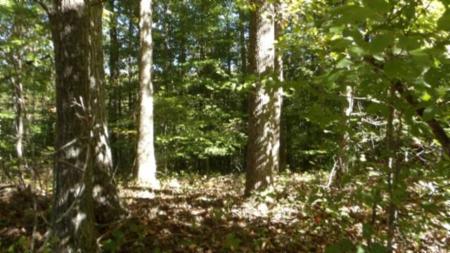 Lot 2 Inland Court