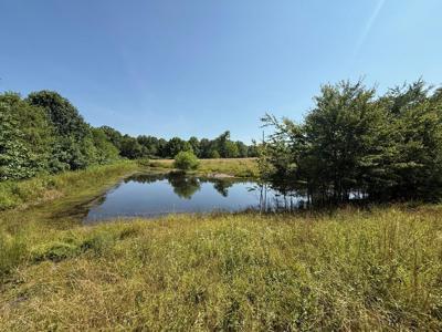 Lockwood Myers Road