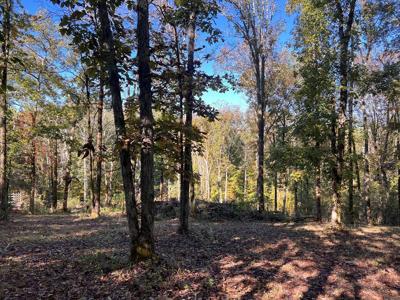Lot 19 Shoreside Dr