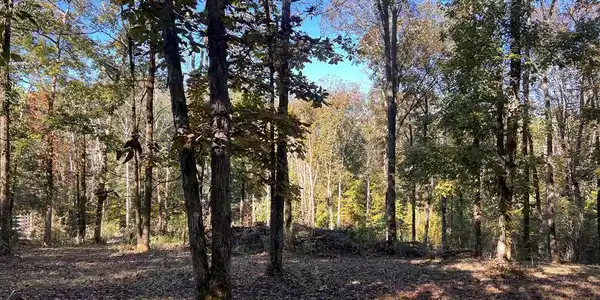 Lot 19 Shoreside Dr