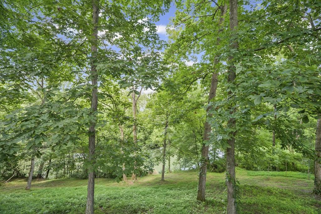 Image 3: Calfkiller River will be in your backyard!