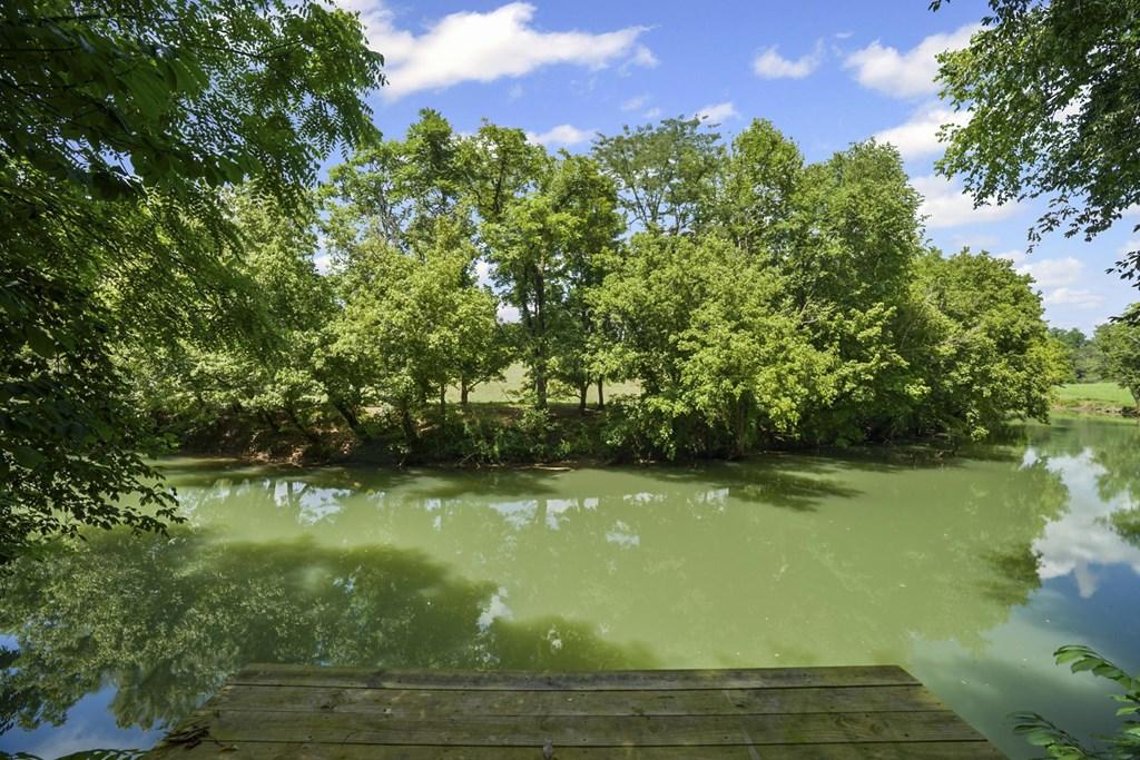 Image 4: Calfkiller River will be in your backyard!