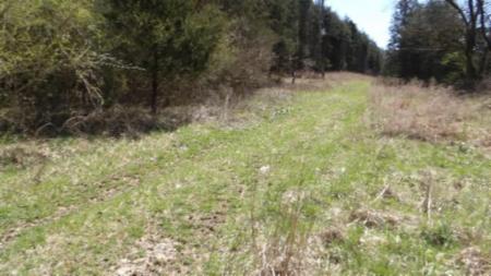 Lot 6 Baugh Hollow Rd