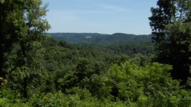 Image 1: Main View