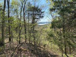 8.61 AC Willow Lane