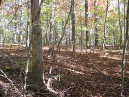 Lot 50 Highland Trail