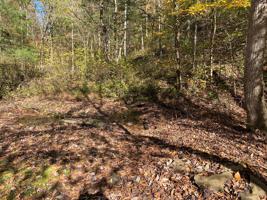 2.11 ac Sewell Creek Rd