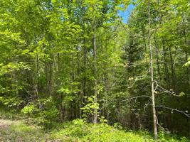 Lot 56 Big Hollow Road