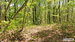 Lot 4 Off Rock Springs Rd