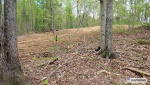 Lot 7 Off Rock Springs Rd