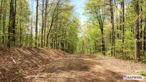 Lot 8 Off Rock Springs Rd