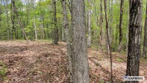 Lot 9 Off Rock Springs Rd