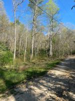 0033 SE Of Wayne Laws Rd TN
