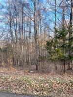 Lot 59 LillyDale rd