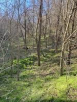 - Blackberry Ridge Way