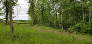 Lot 75 Backbone Rd