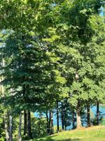 Lot 5 Mountain Lake Ln