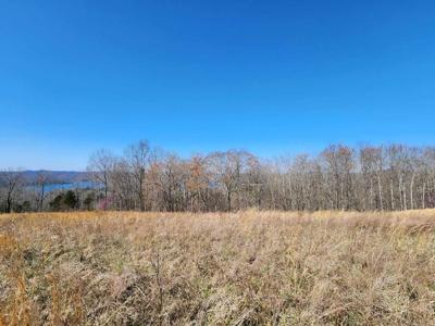 Lot 46B Bald Eagle Lane