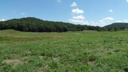 Lot 38 Ranchside Court