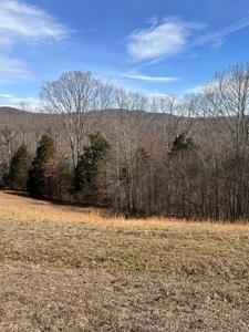 Lot Cliff Edge Rd.