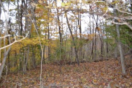 10.70ac Red Oak Ridge Rd