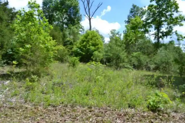 Image 1: Main View