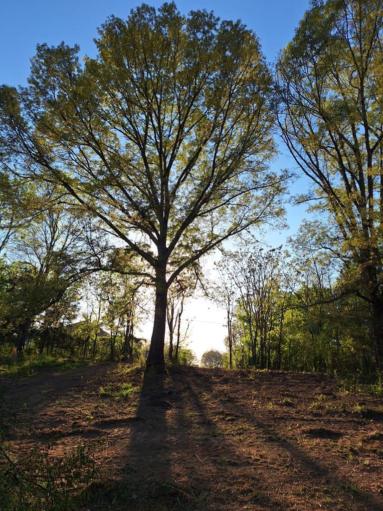 Image 1: Main View