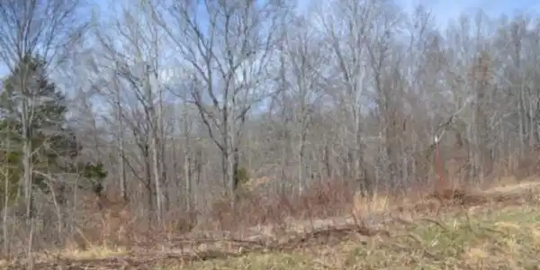 4.13ac Hush Hollow Lane