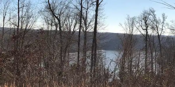 19 Griffin Trail