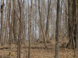 6 ac Cherokee Drive