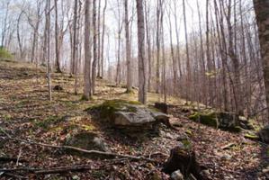 LOT 5 St Johns Place