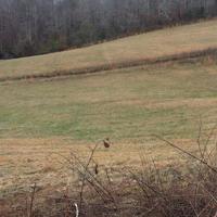 Lot 7 Sabre Park Rd