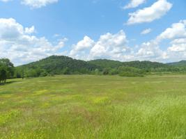 42.10AC Whites Bend Lane