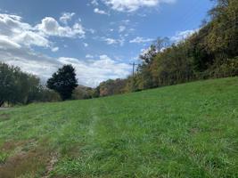 49 Ac Neelys Creek Rd