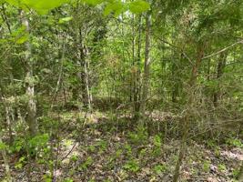 Lot 58 Big Hollow Road