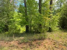 Lot 50 Big Hollow Road