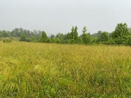 Lot 28 Lakeview Circle