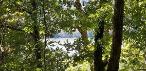 40 Ac Holleman Bend Ln