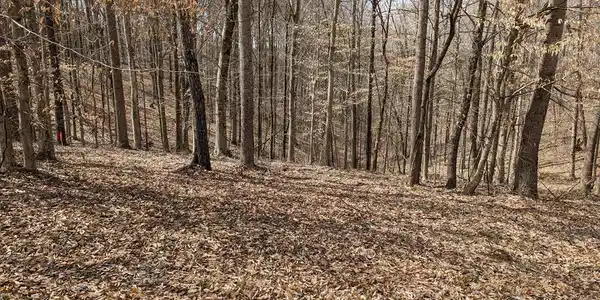 Tract 9 Chestnut Hills Rd