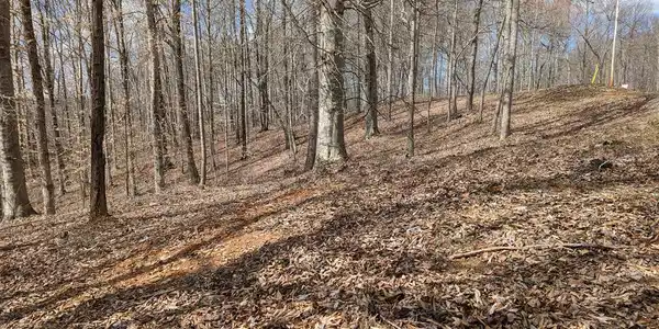 Tract 8 Chestnut Hills Rd
