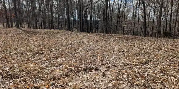 Tract 2 Chestnut Hills Rd