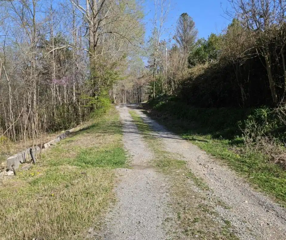 Image 1: Main View
