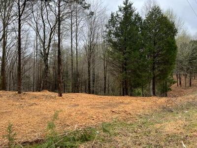Lot 2 Willow Grove Hwy